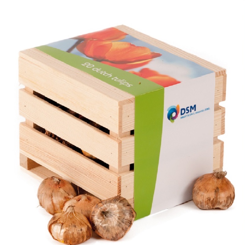 Houten kist met bloembollen
